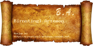 Birnstingl Artemon névjegykártya